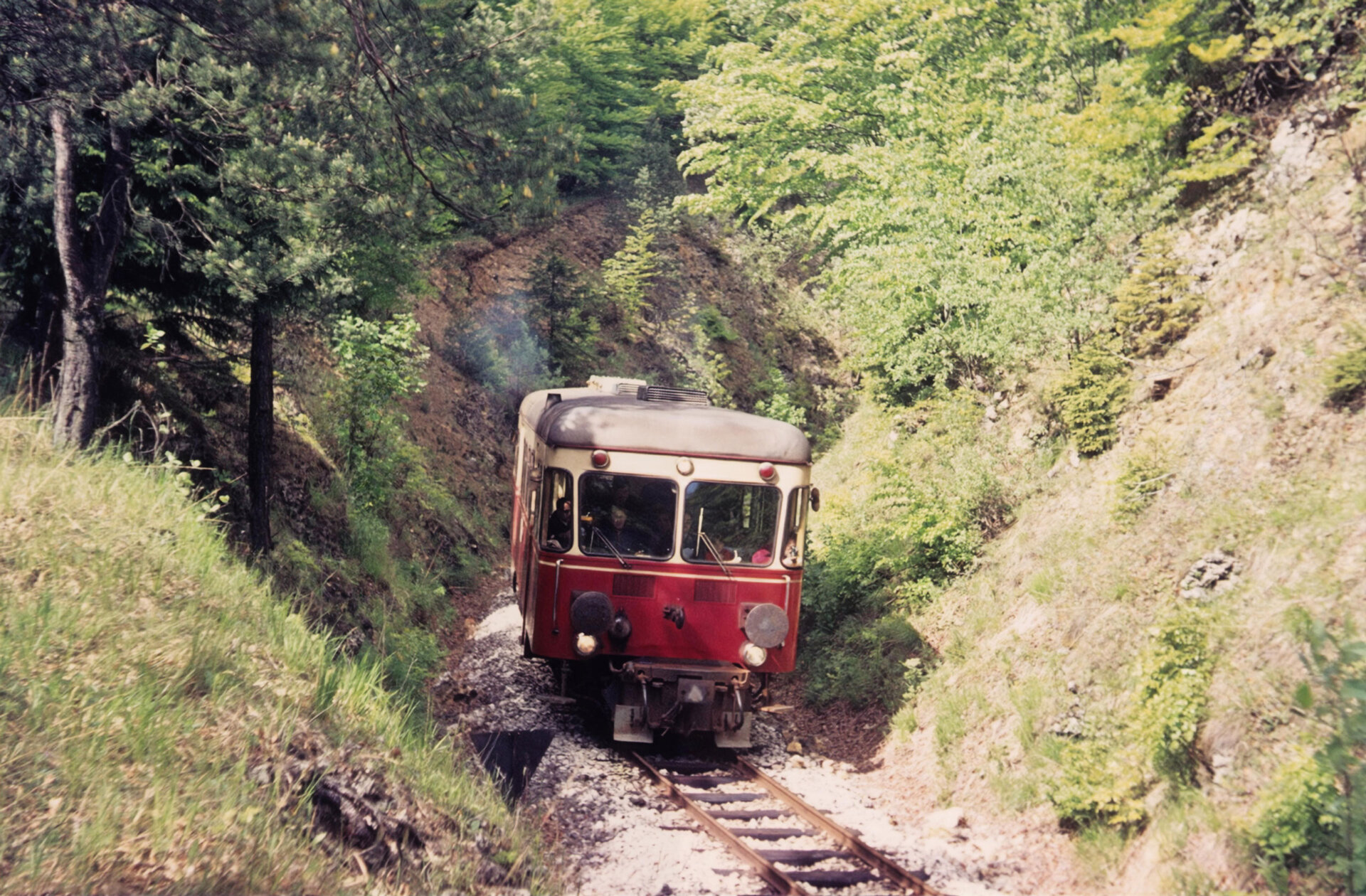 Farbfoto eines Schienenfahrzeugs auf der Härtsfeldbahn, umgeben von grüner Natur