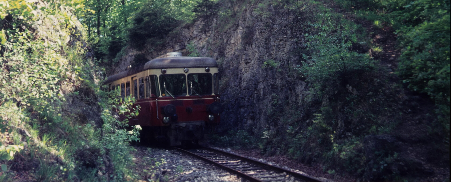 Farbfoto eines Zuges auf der Härtsfeldbahn, eingebettet in eine Waldlandschaft